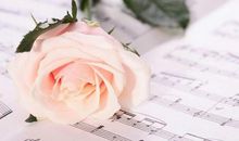 2020网络最火的句子