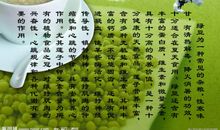 有关绿豆的比喻句