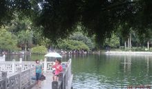 九曲桥上散步歇后语