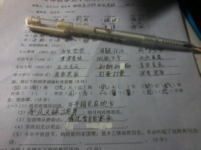 狗年的四个字符的单词和短语