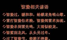 有关树木的谚语