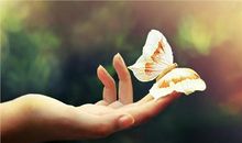 早上心情说说感悟生活