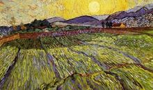 关于麦田的比喻句