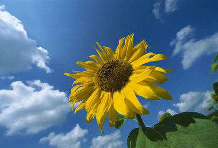 励志句和个人签名:生活只有逃跑的美,没有等待的荣耀