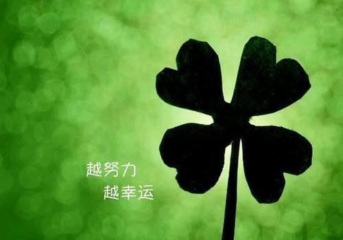 我想在朋友圈中发布一个积极的能量短语