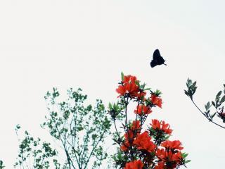 当时描述幸福的句子用来描述幸福的句子1