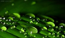 雨水节气的民间谚语