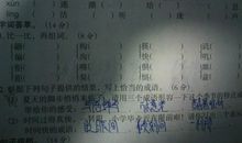 秋天的树叶比喻句