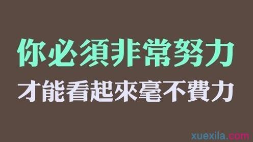 表达积极团队合作精神的句子