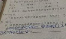 用所以造句子大全