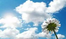 朋友圈说说文艺风