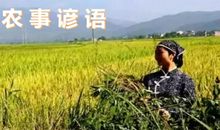 关于四季农事的谚语