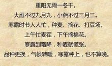 一句有关农业的谚语