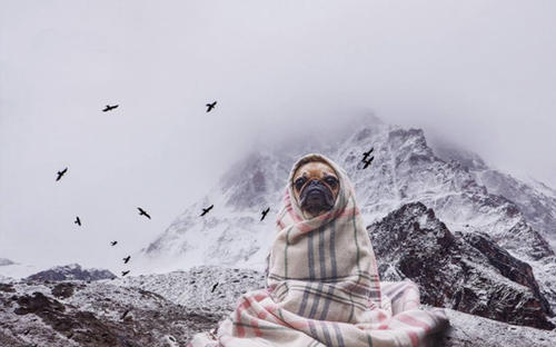 寓言句子描述冷风