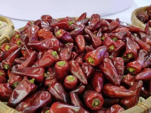 关于胡椒的寓言