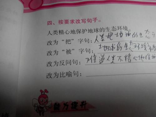 关于鸡肉的寓言