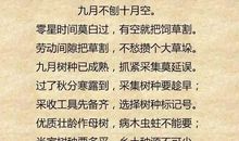 与农业有关的谚语