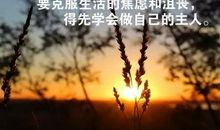 一句话毁掉心灵鸡汤