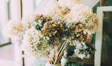 祝小朋友天天开心的句子 希望宝宝每天开心的说说