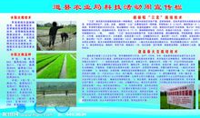 农业宣传广告标语