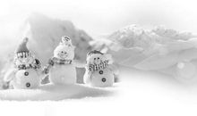 与冬天相关的谚语