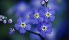 不开心的情感句子说说心情 经典不开心句子说说心情