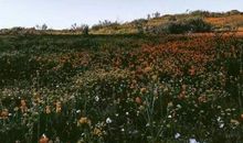 生活语录心情说说