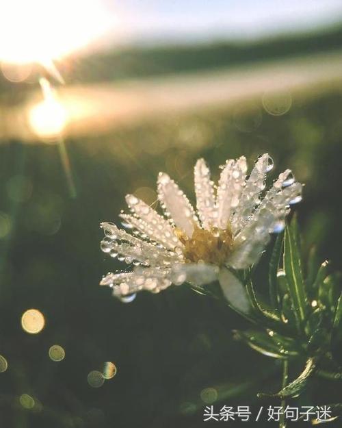 充满活力的句子