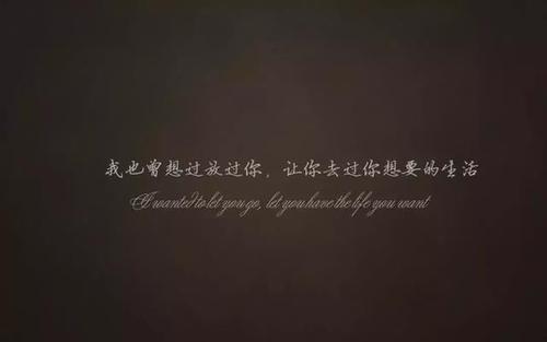 适用于瞬间发送感人的句子