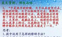 关于玉米的比喻句