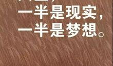 简单的一句话发朋友圈