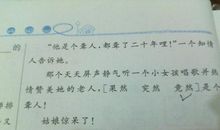 神态描写的比喻句