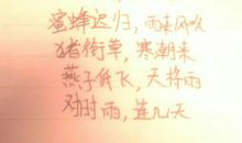 关于社会的谚语