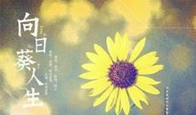 哲理说说大全人生感悟