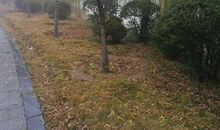 写冬雨的比喻句