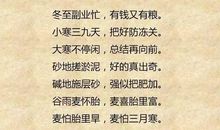 四字的农业谚语