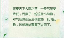 与气象有关的歇后语