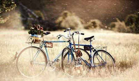 美丽和哲学的句子,美丽和哲学的句子