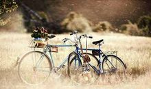 优美哲理的句子，优美又有哲理的句子