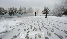 雪后的景色句子