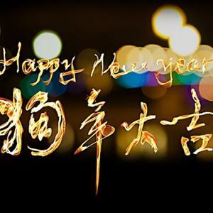 狗年的个性签名