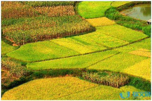 秋天风景的寓言