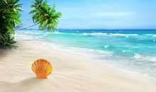 阳光的温暖的句子