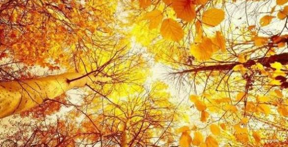 关于秋天的寓言