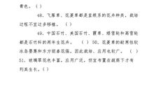 仿佛造句大全一年级