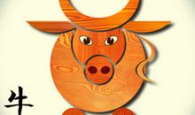 歇后语大全十二生肖