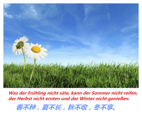 谚语描述四个季节