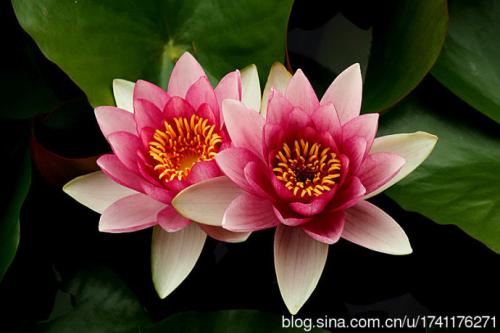 用一句话看幸福