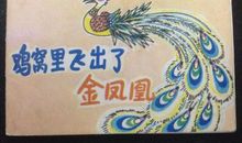 鸡窝里飞出金凤凰歇后语