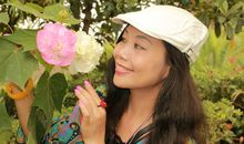 用黄叶写比喻句